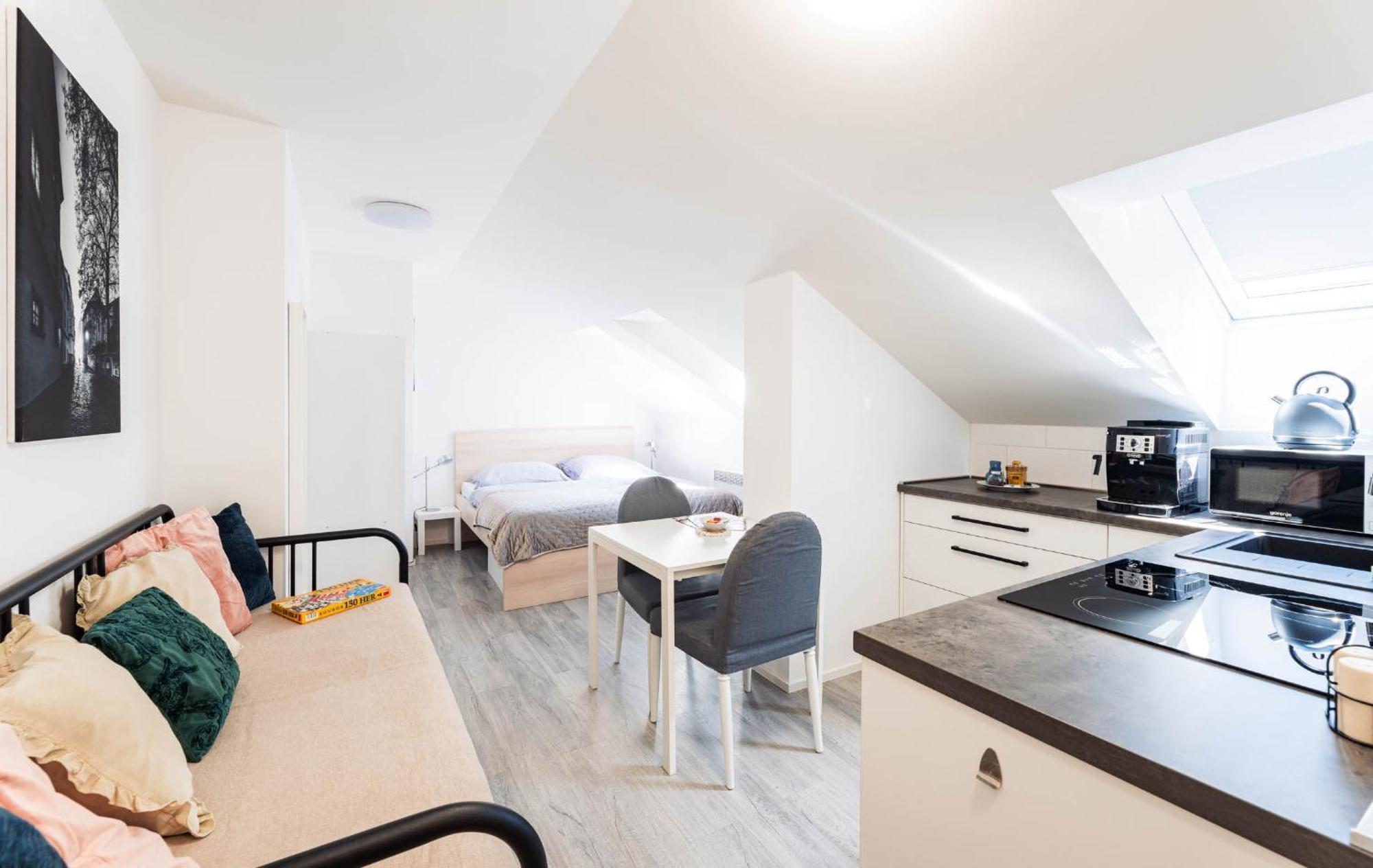 Silvie Apartments - Wurmova Оломоуц Стая снимка